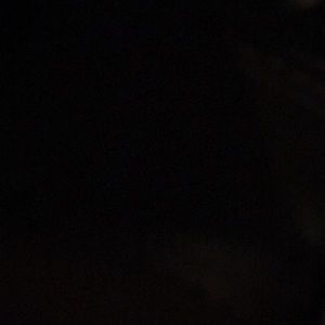 Meet your Posher, Peter